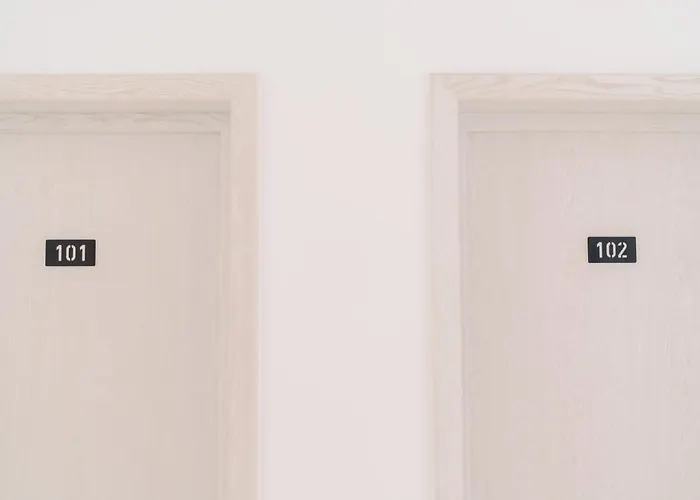 Novus אפורי נורד