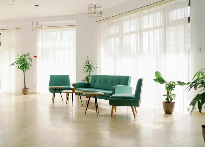 Novus אפורי נורד