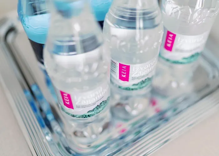 Novus מלון אפורי נורד